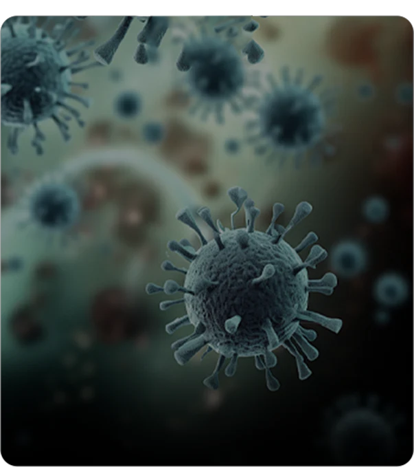Breeds bacteria
