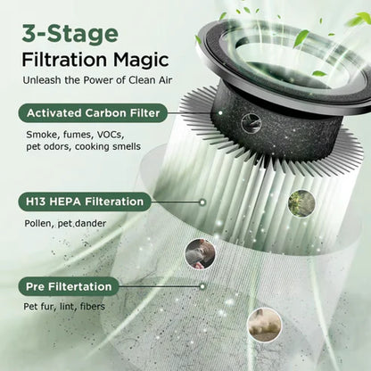Home Air Purifier